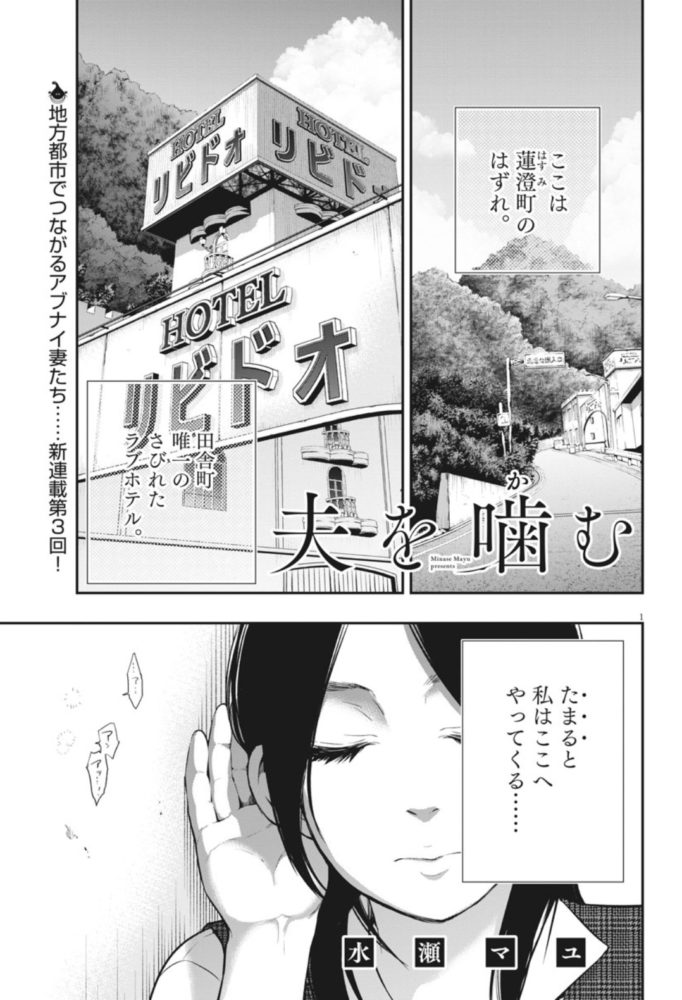 離婚 しよう ネタバレ